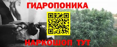 соль курить ск Аргун